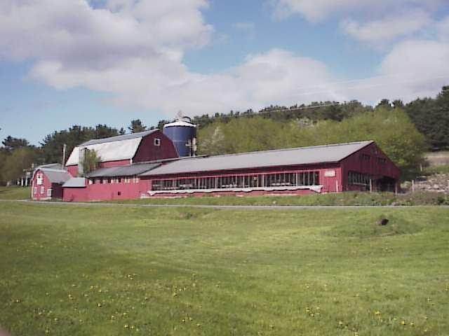 Brandon Farm