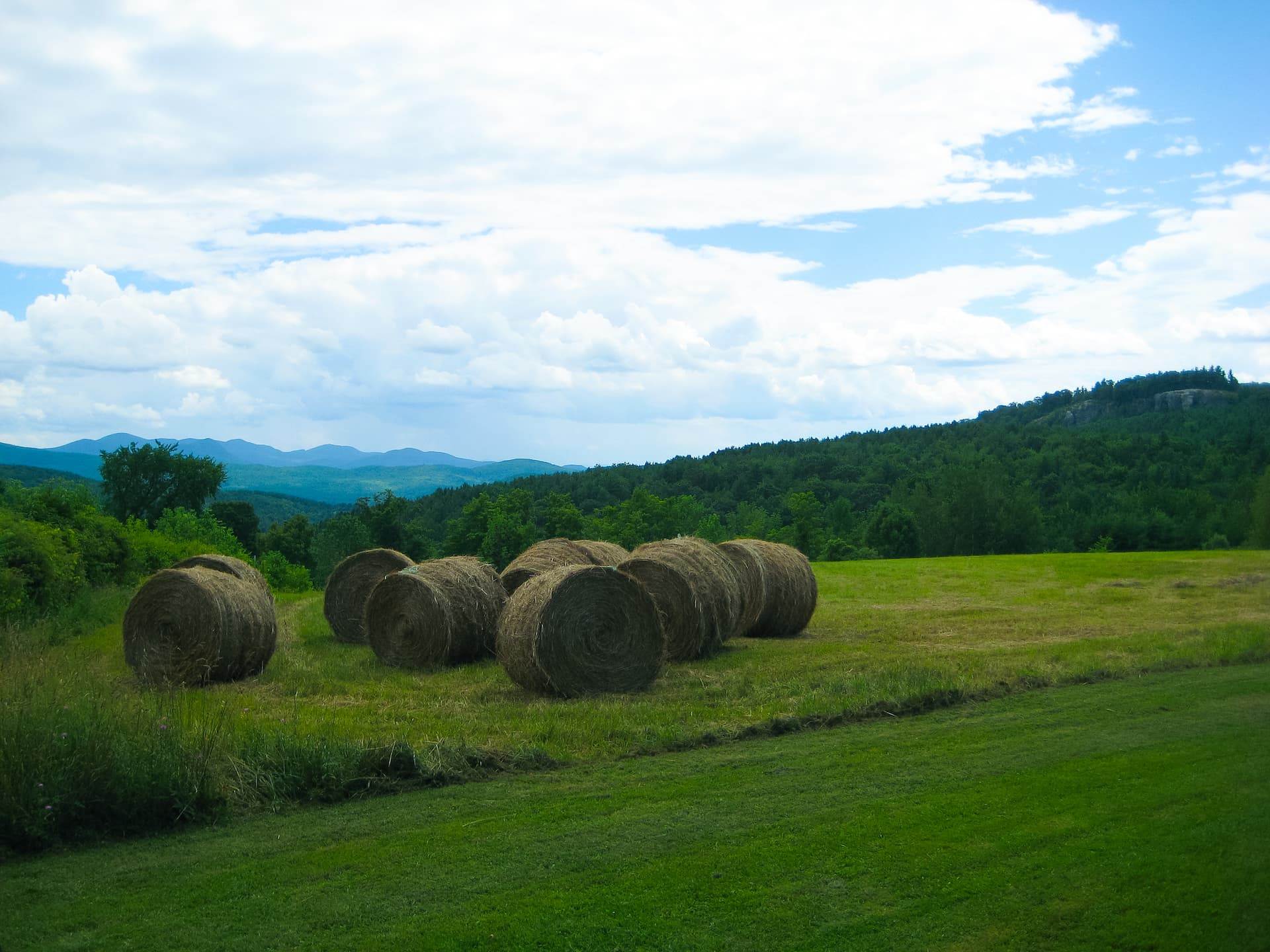 Natural Resources Rutland